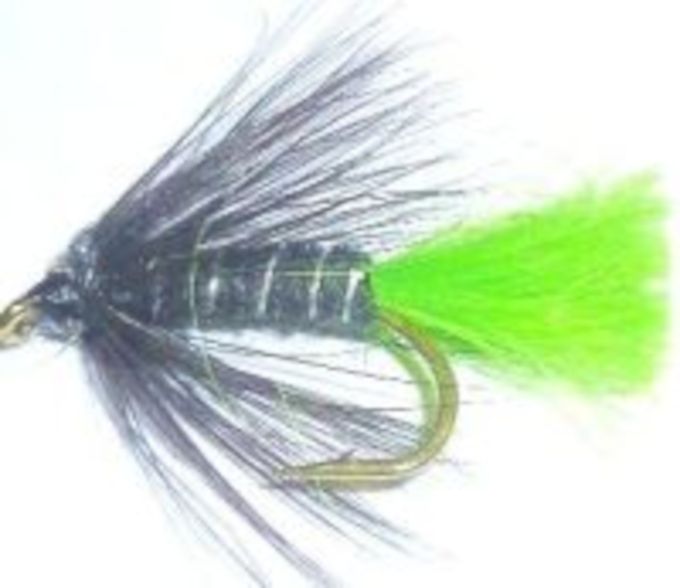 5 x Crunchers - Viva #12 barbed [CR 3]