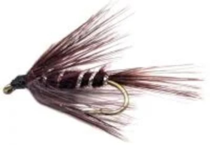 5 x Crunchers - Claret  #12 barbed  [CR4]