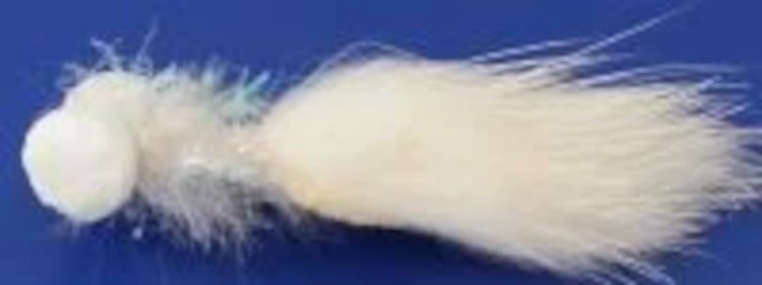 5 x MINKY Booby White # 12 barbed BB 48