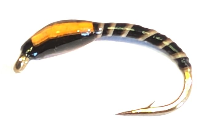 Buzzer - Black Quill- Sunburst Orange  #10 Barbed Q42