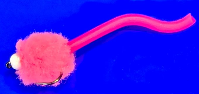 Eggstasy  egg Candy Pink  Tailed hot head  White size 12 barbless E90