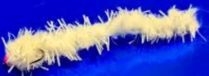 BUGGY EGGSTASY WORMS