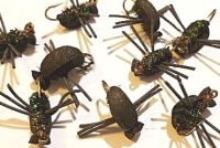 Black Beetle [T1]
