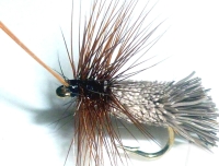 Goddard  caddis  /DR 19