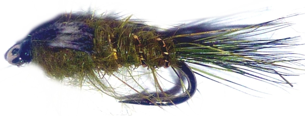 Gold ribbed hares ear -Olive /N3