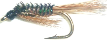 Diawl bach,Ginger Quill #14 / D30