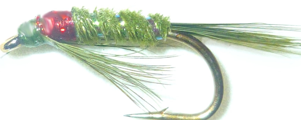 Diawl Bach Olive and Red holographic #14