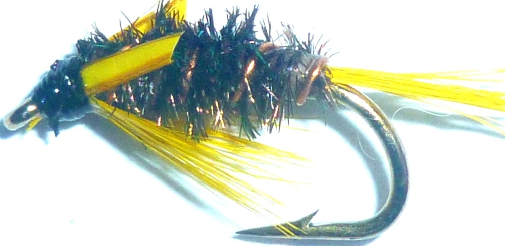 Olive holographic Diawl bach #12/ D32