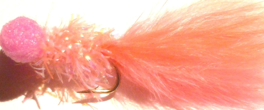 Booby- Coral and Pink # 12/ BB 5