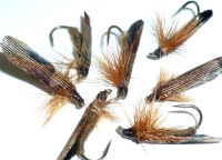 Slow Water caddis - Brown barbless #14 /DR 24