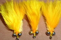 Cats whisker,Yellow [CAT 3]