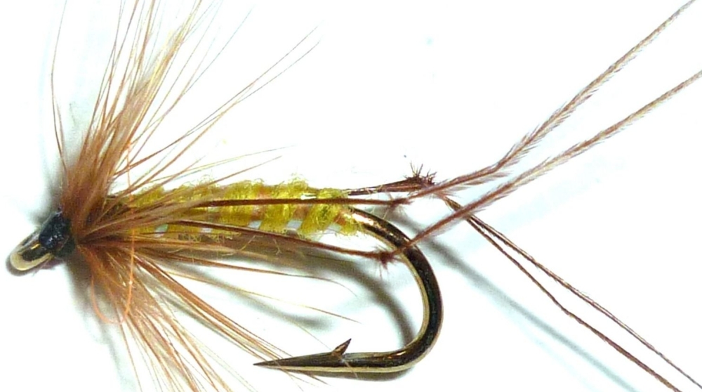 Hoppers, trout flies