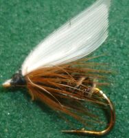 Coachman [W28]