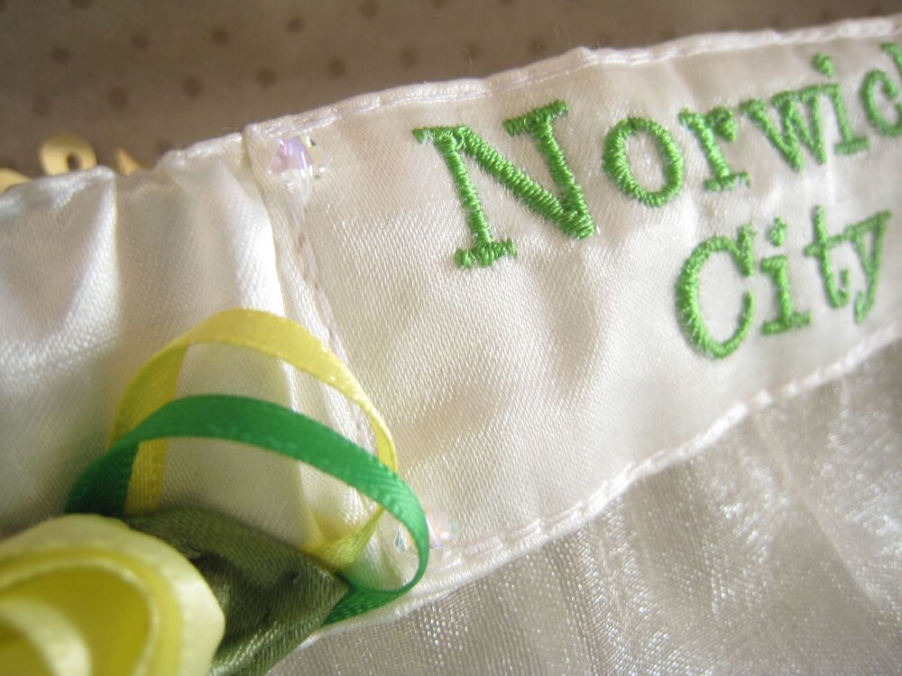 No18 Norwich City Football Garter
