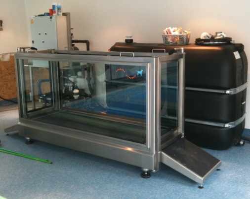 Water Treadmill