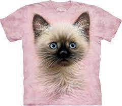 Black and Tan Kitten T Shirt - Youth Large