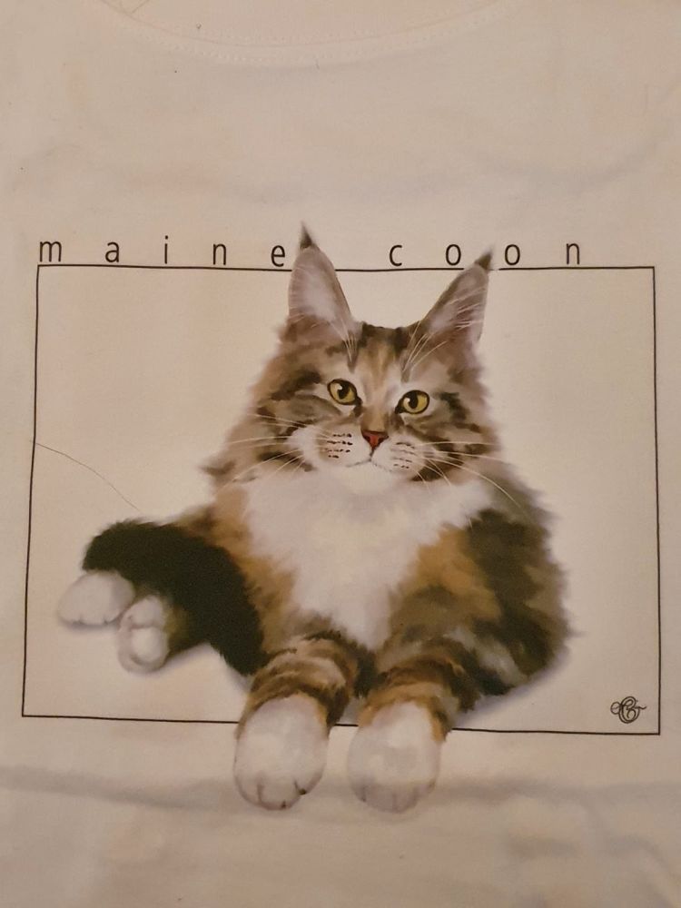 Maine Coon T Shirt - 2XL
