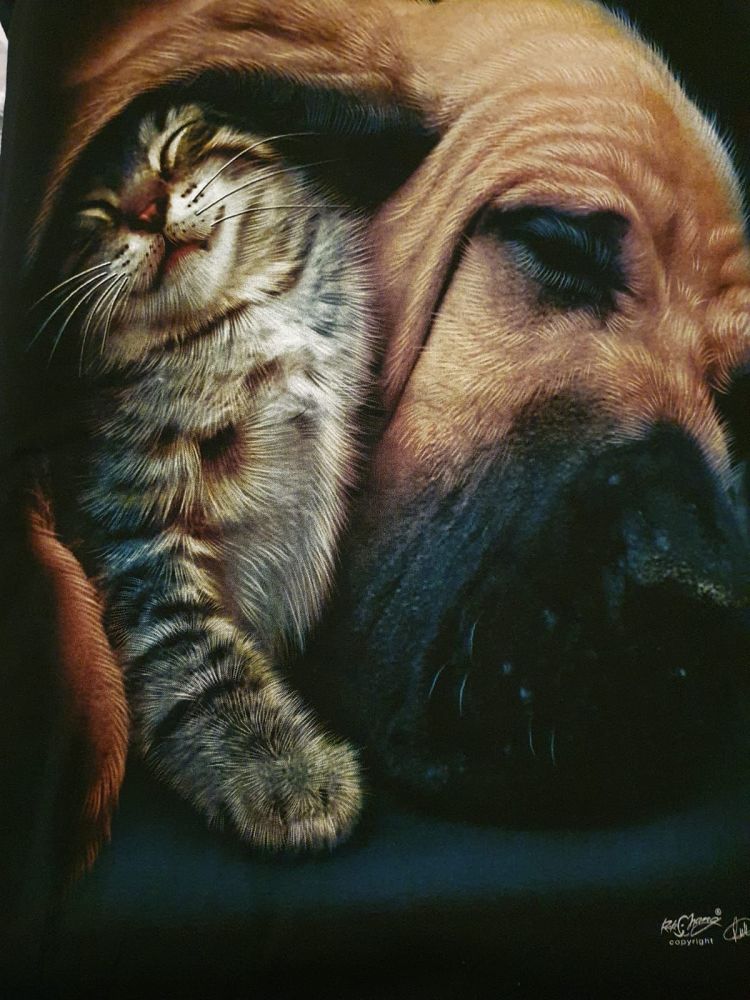 BLOODHOUND AND KITTEN - LARGE