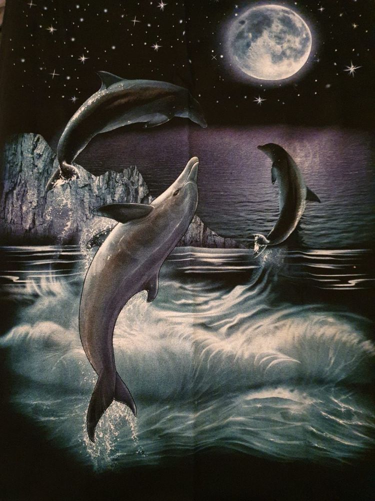 DOLPHINS - LARGE