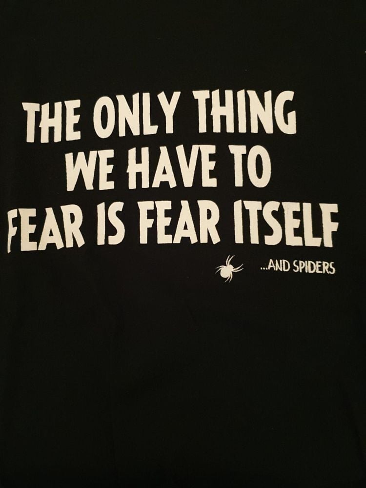 Nothing to Fear T shirt - XL