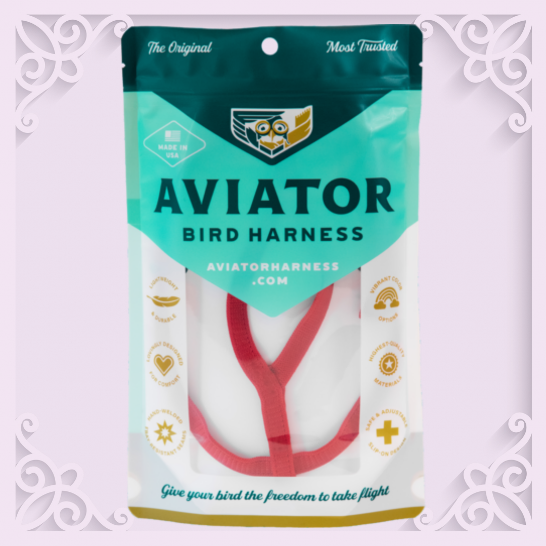 Aviator Bird Harness with Leash (Mini)