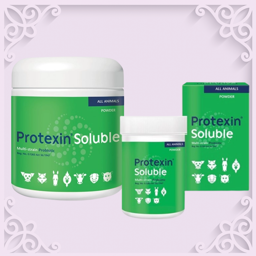 Protexin Soluble 250g - BB September 2025