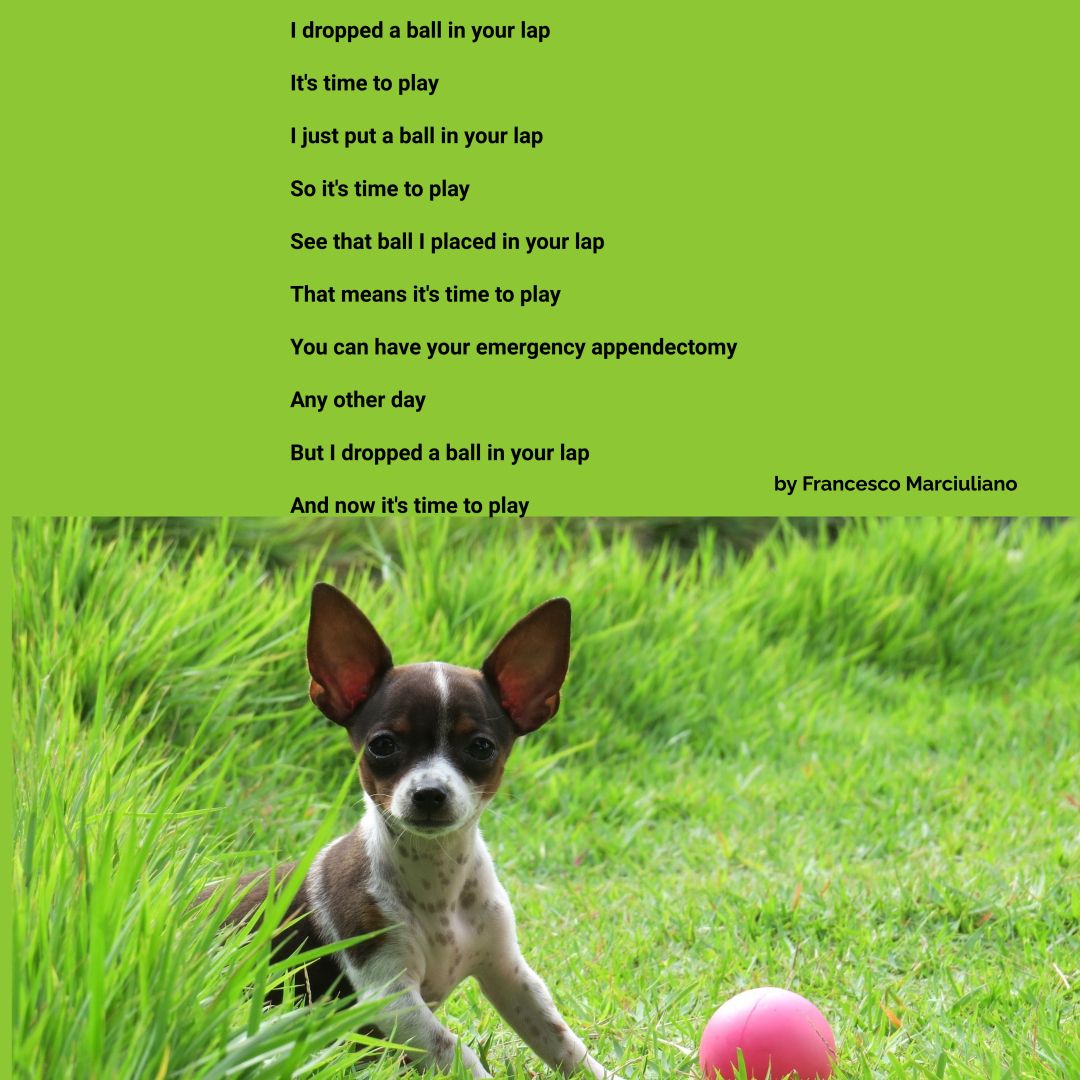 dog poem