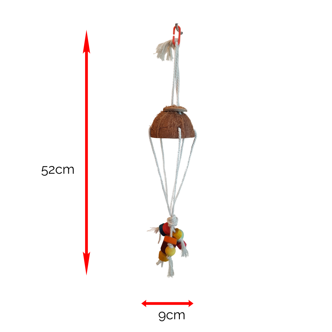 The Parachute