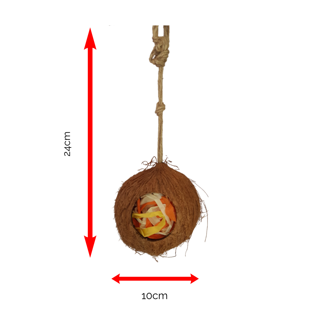 Coconut Forager