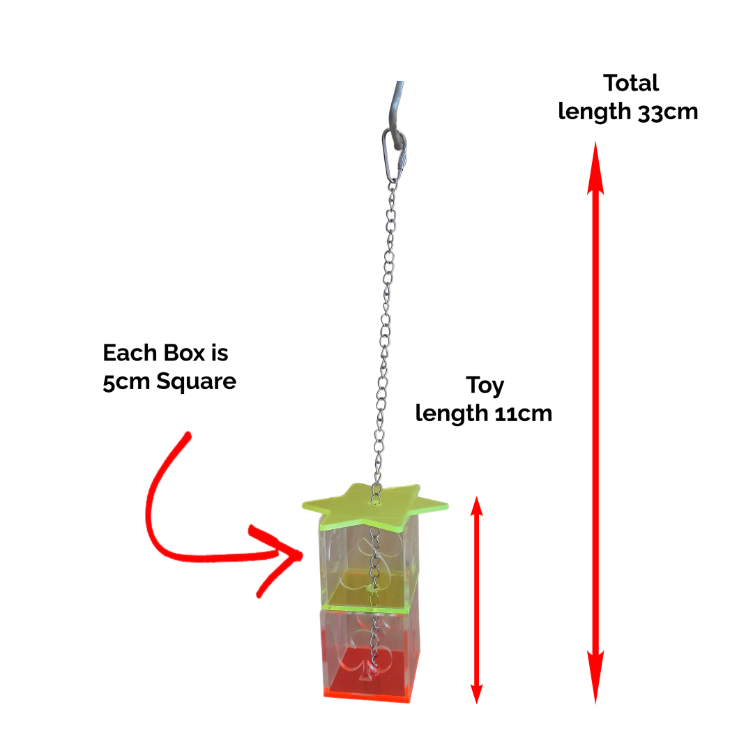 Acrylic Parrot Feeder Toy