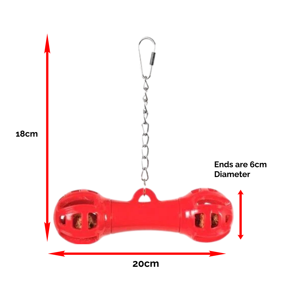 Giggly Dumbbell