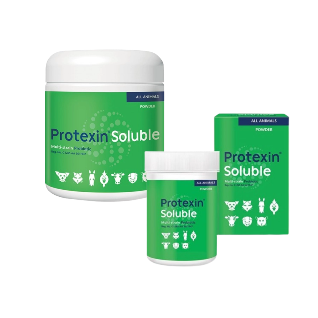 Protexin Soluble 250g - BB September 2025