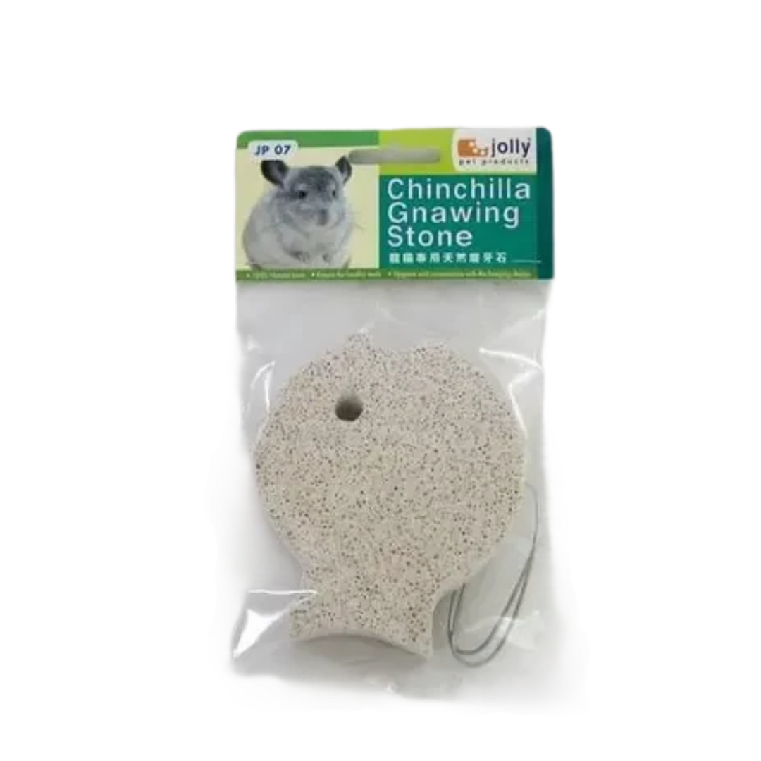 Jolly Chinchilla Gnawing Stone