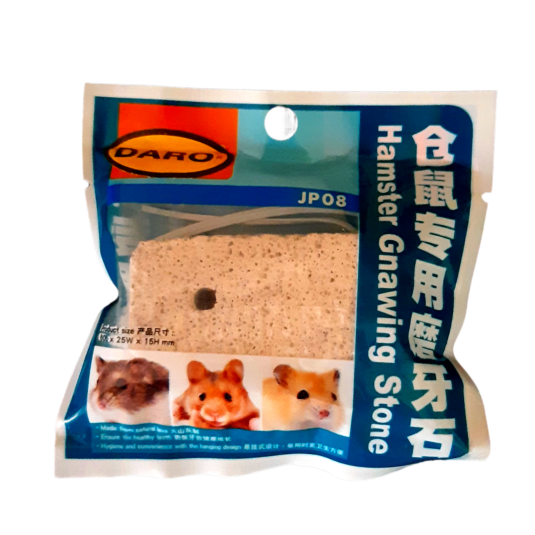 Jolly Hamster Gnawing Stone