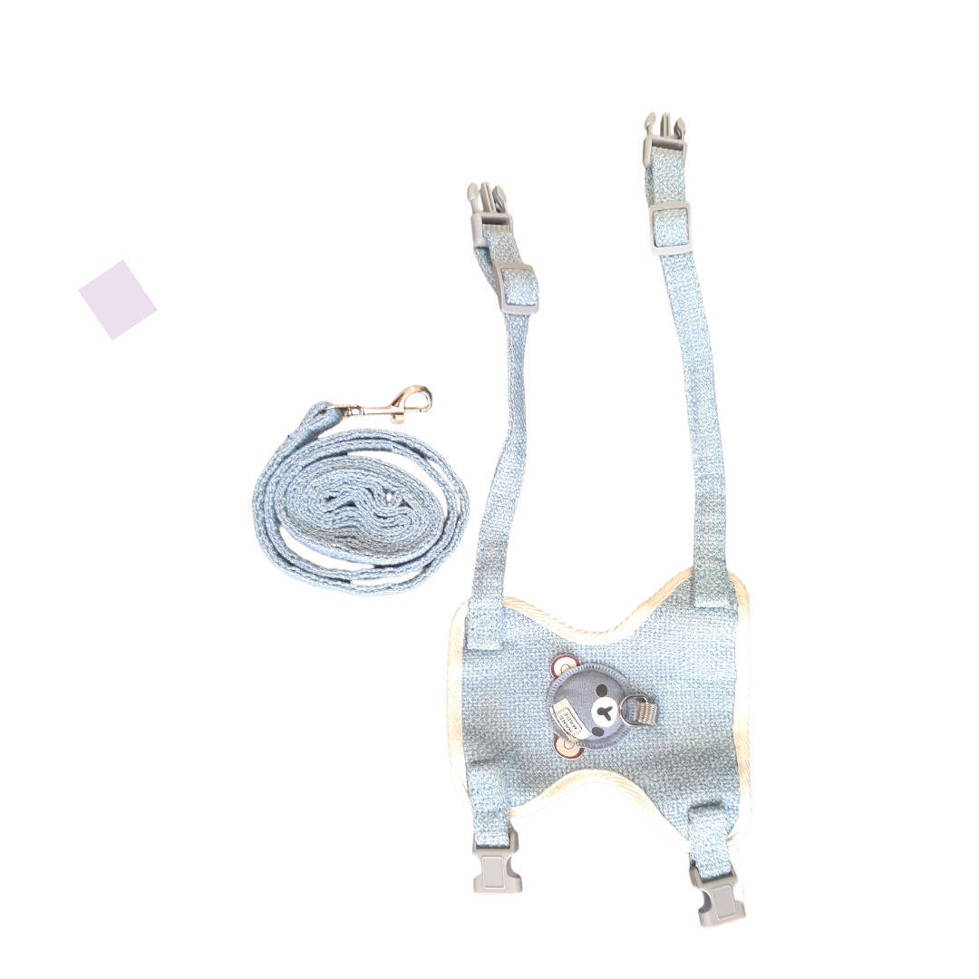 Harness and Leash - Medium