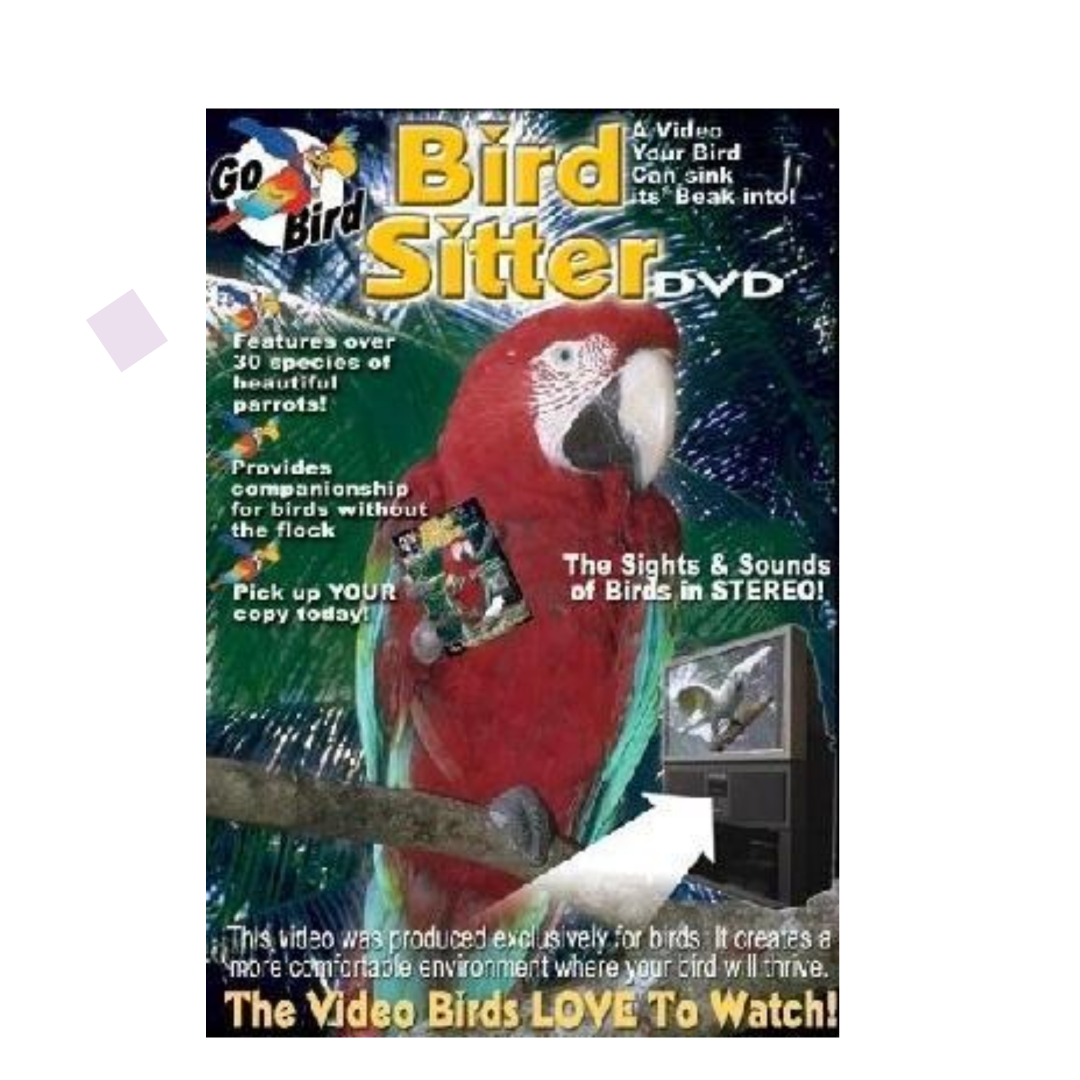 Bird Sitter DVD