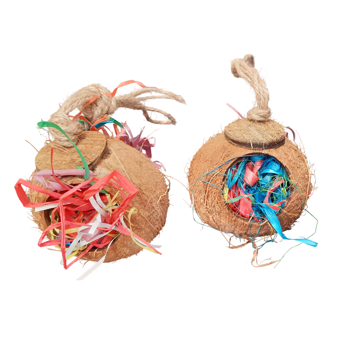 Coconut Forager 4.png