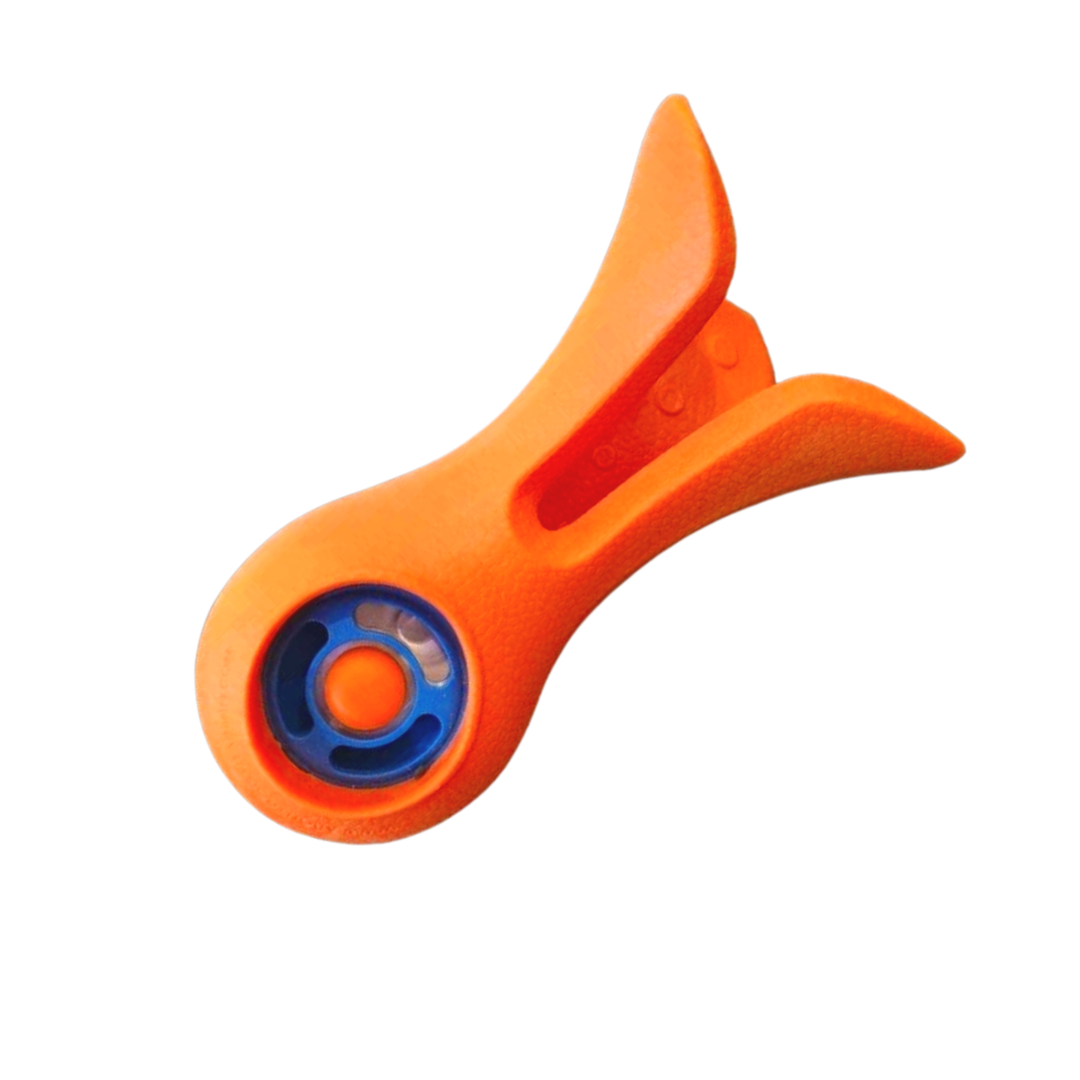 Click and Play Squid