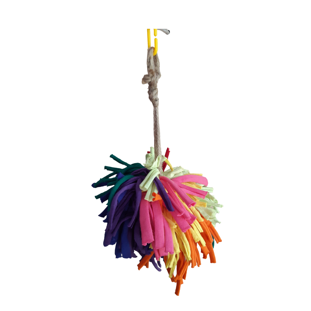 Rainbow Pom Pom Preener