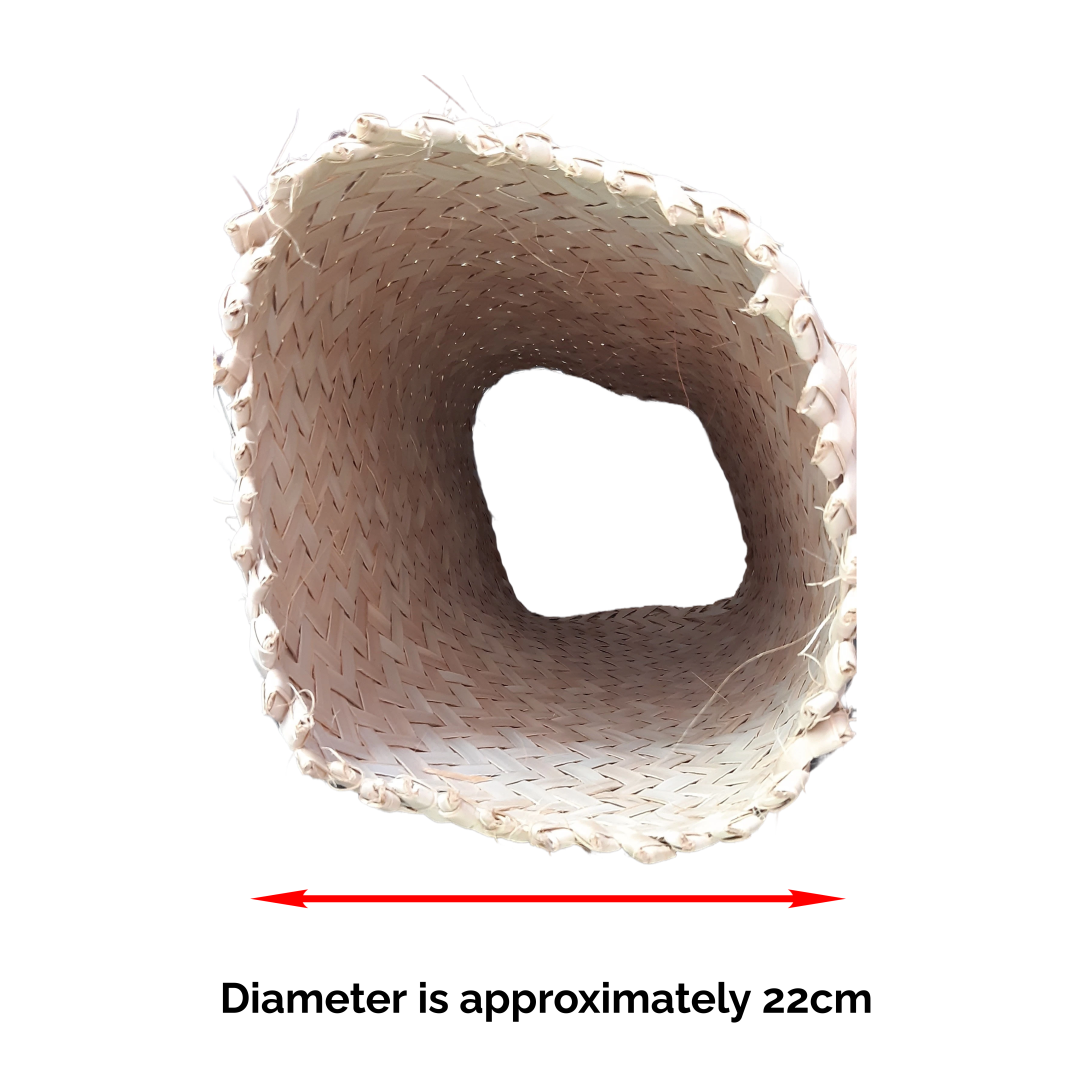 Palm Tunnel
