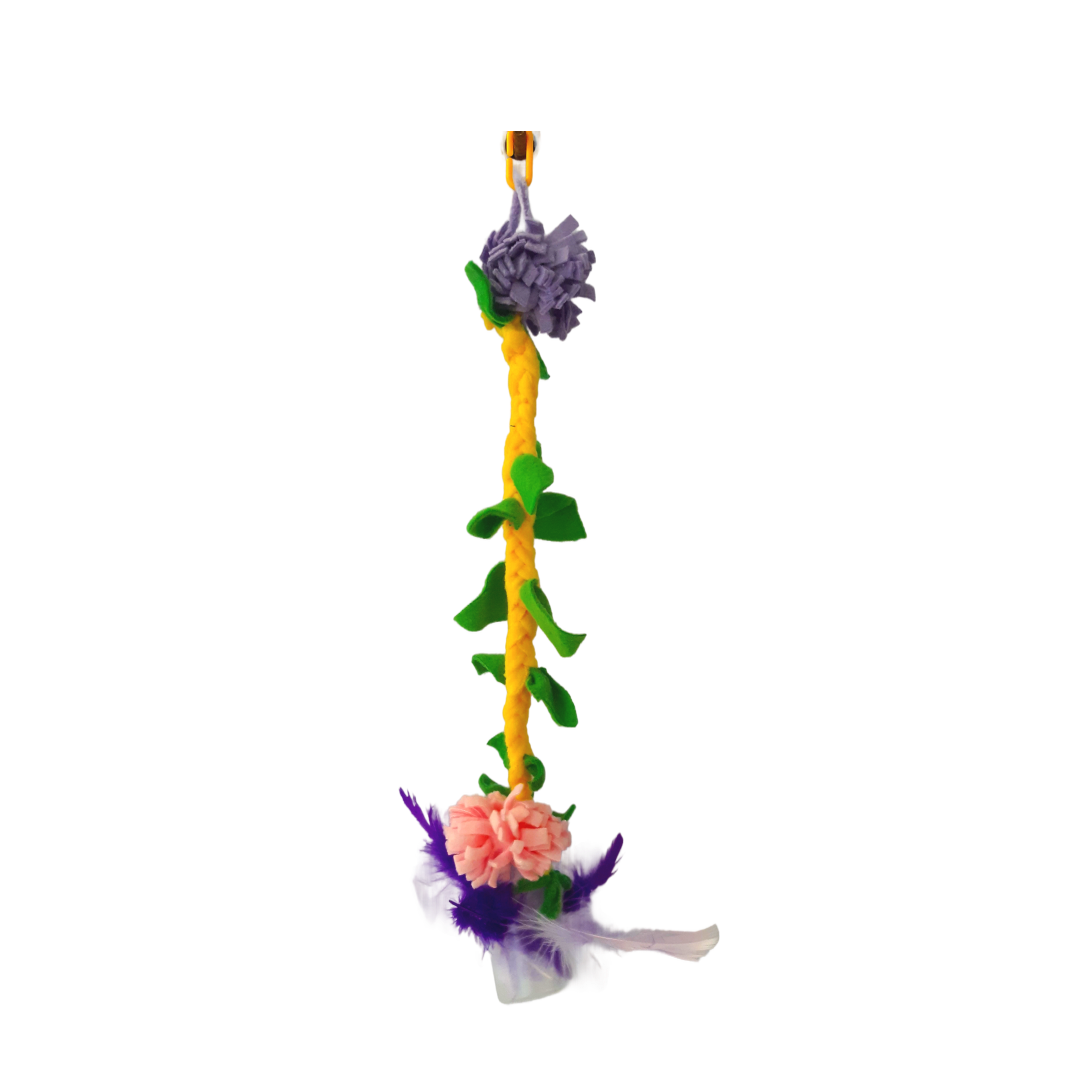 Suggie Vine