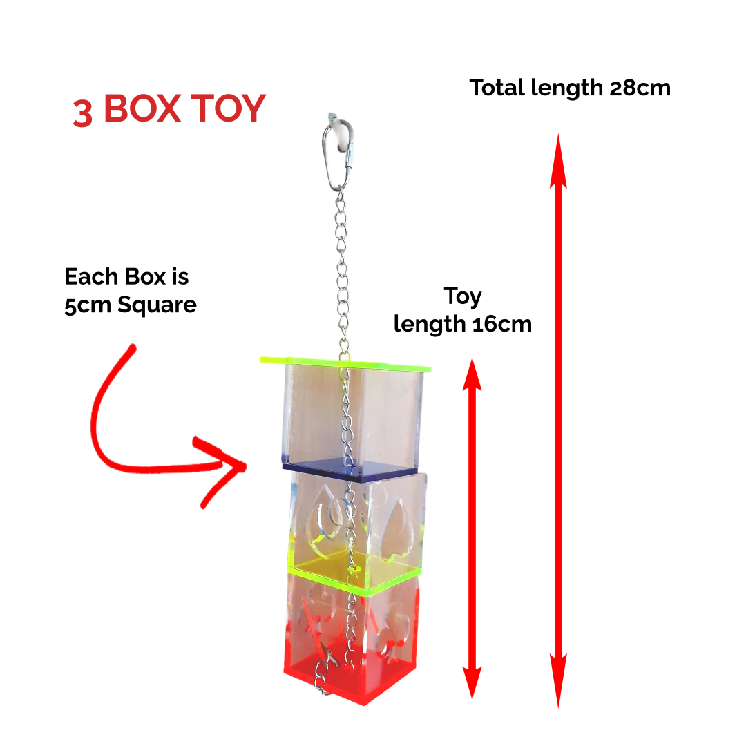 Acrylic Parrot Feeder Toy