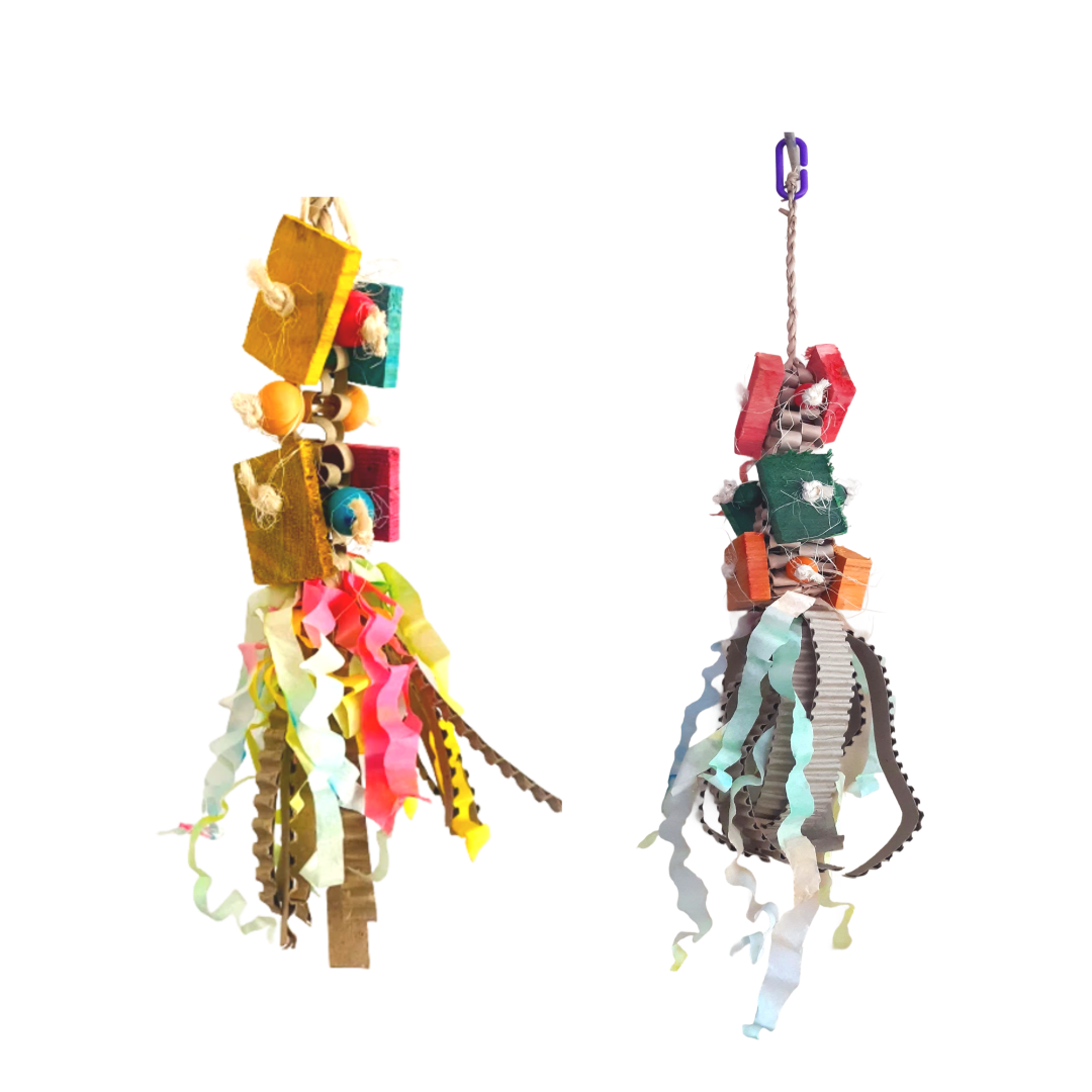 The Squid