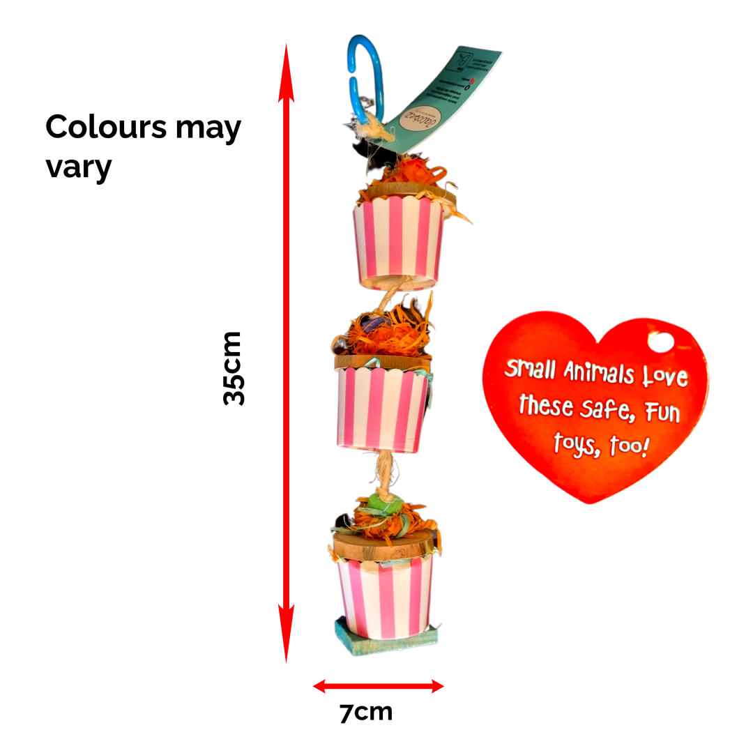 The Cupcakes