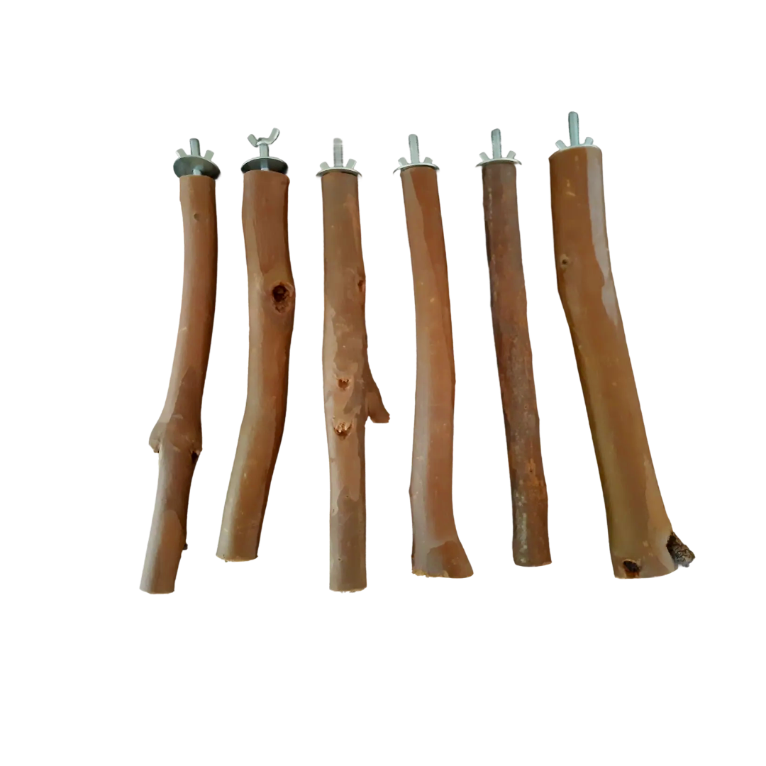 Australian Pine Perch