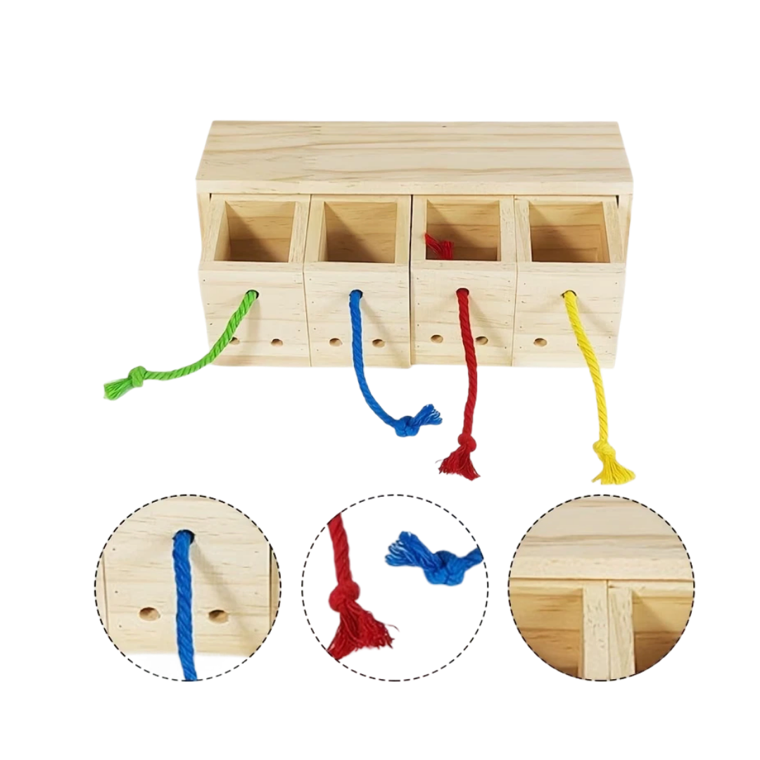 Wooden Drawer Foraging Toy