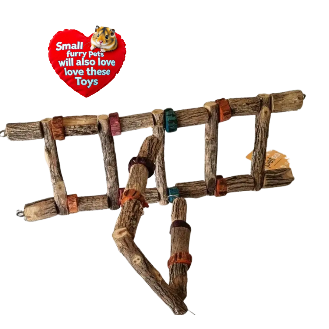 Petsa Sekelbos Hanging Bridge and Swing