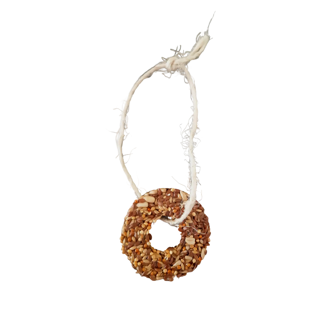 Large Seed Ring 2 Pack