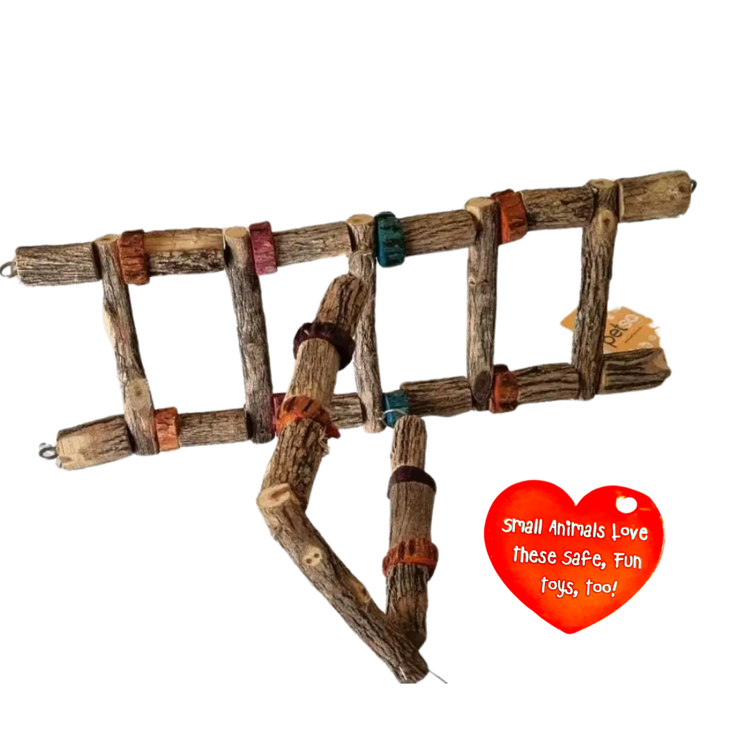 Petsa Sekelbos Hanging Bridge and Swing