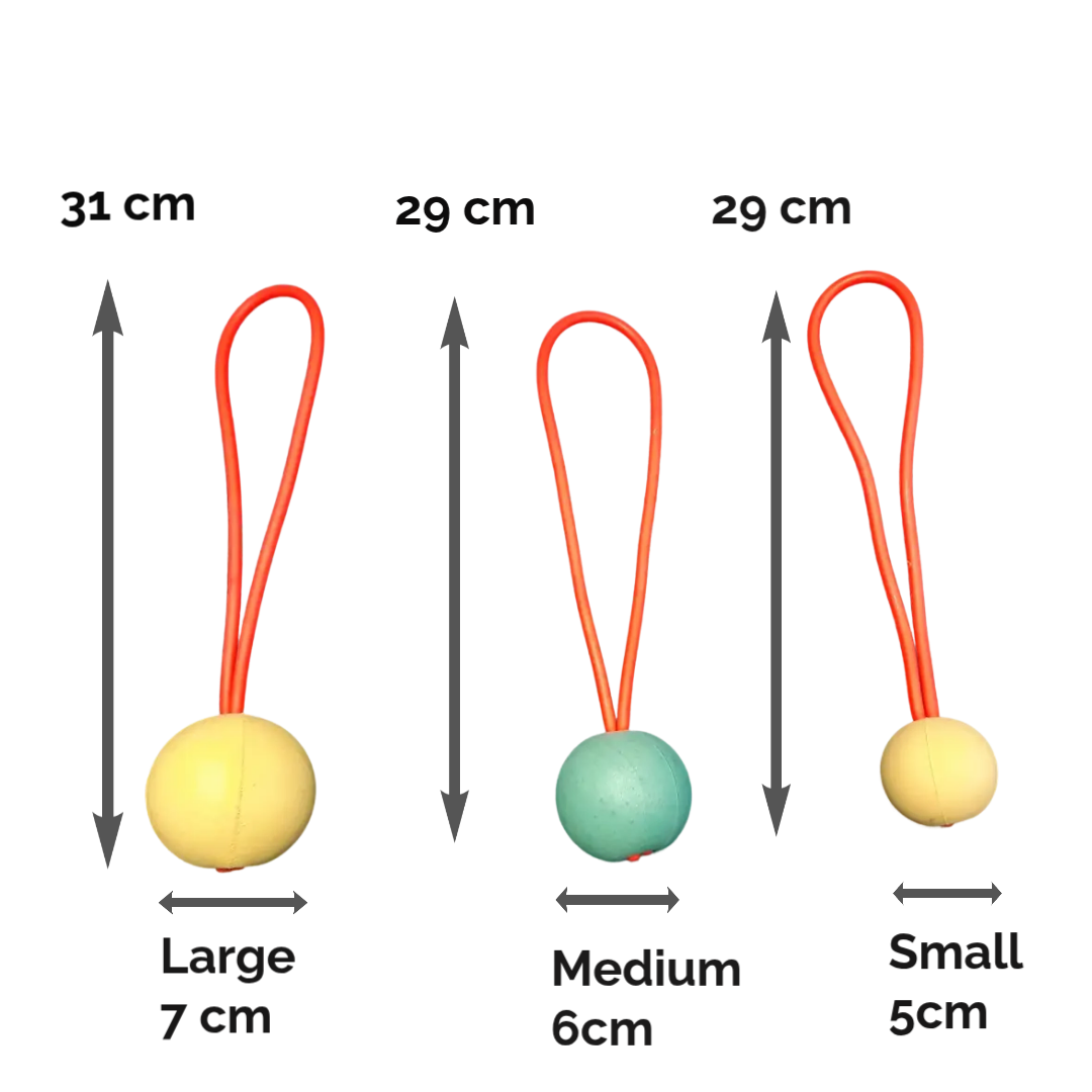 Go-Frrr Slingshot Ball